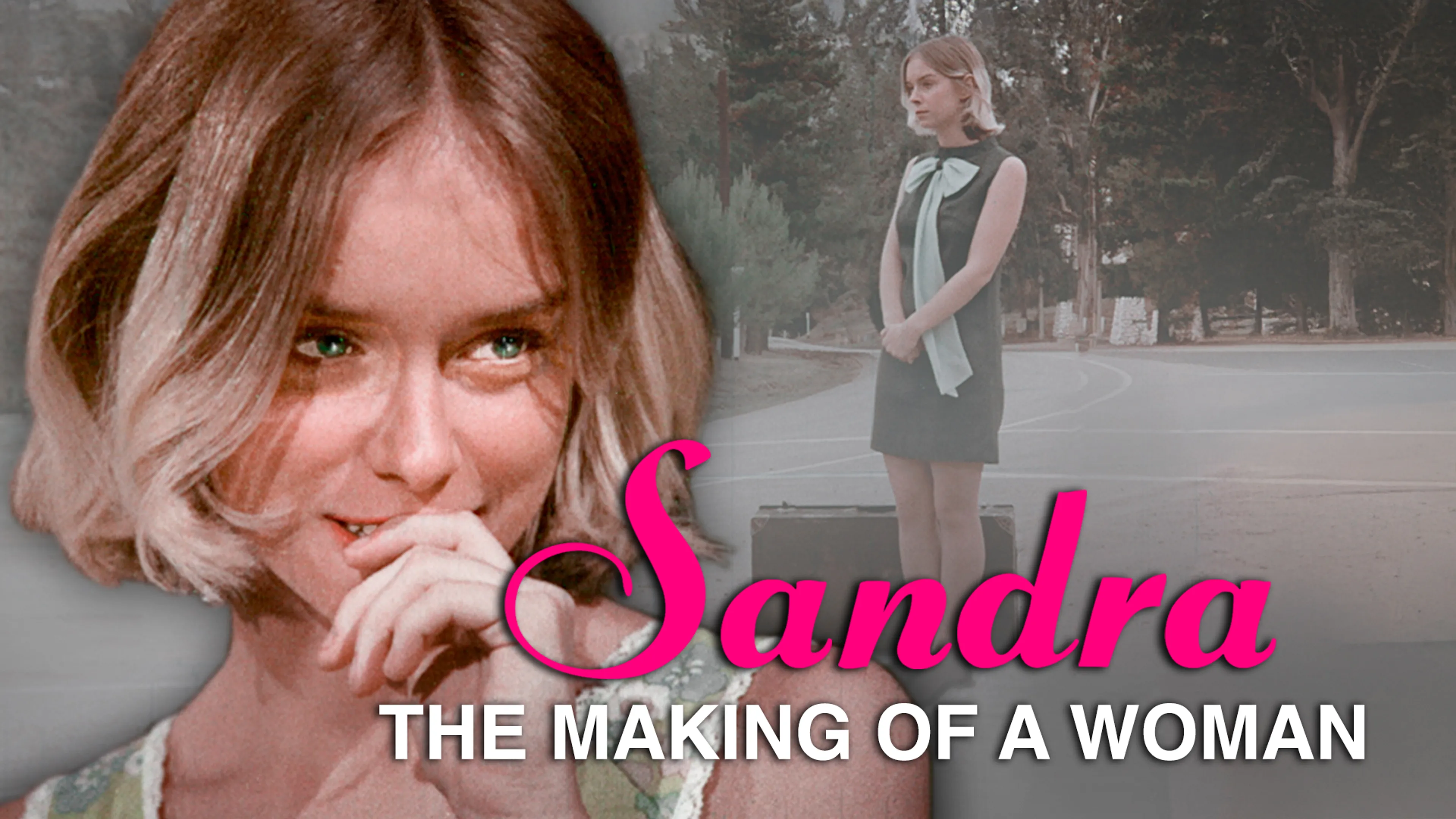 Sandra The Making of a Woman poster